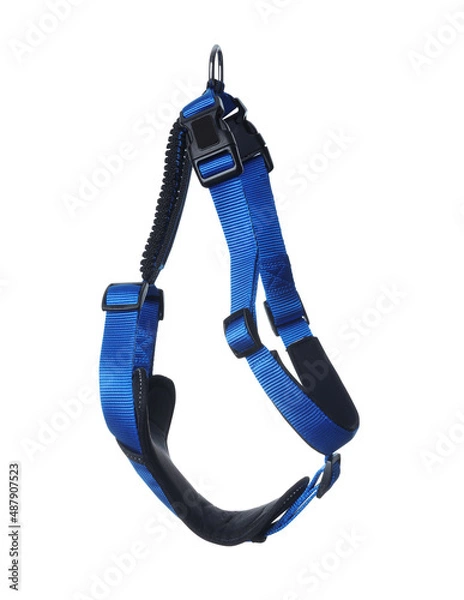 Fototapeta Blue dog harness isolated on white. Pet accessory