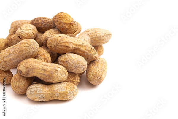 Fototapeta In Shell Peanut on a White Background