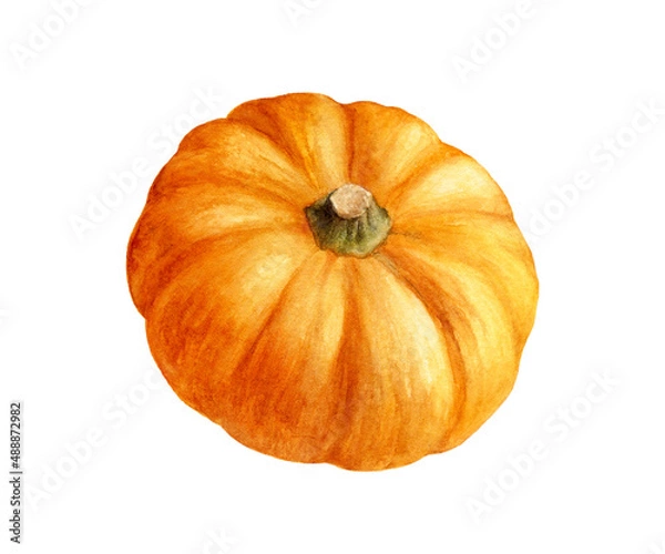 Fototapeta Pumpkin watercolor illustration isolated on white background