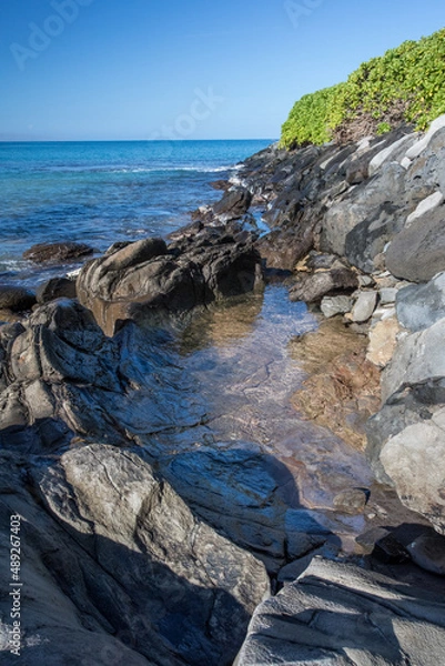 Fototapeta Beach in Maui with ocean and blue sky