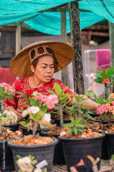 Fototapeta Happy asian woman with Vietnamese straw hat potting flowers in her garden