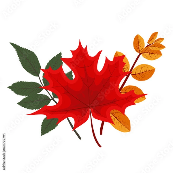 Fototapeta Autumn Falling Leaves Icon Isolated on White Background. Illustration