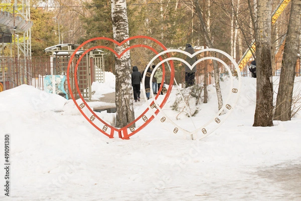 Fototapeta Heart in a pine forest