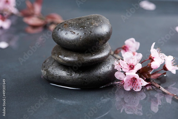 Fototapeta hot stones and cherry blossoms, concept of health and wellness on wet ground and reflections on water