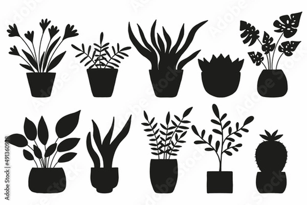 Fototapeta  A set of silhouettes of indoor plants. Vector set.