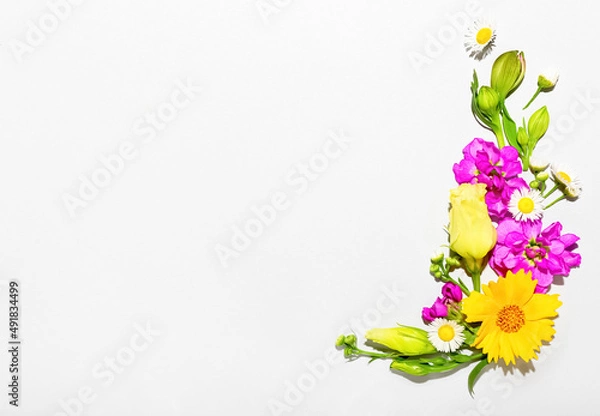 Fototapeta Composition with different flowers on white background