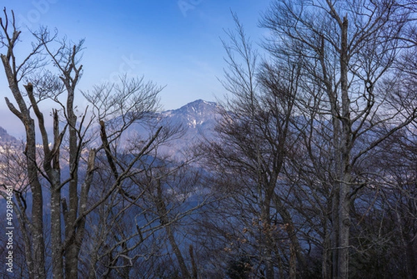 Fototapeta Muotathal is synonymous with nature, pristine authenticity and tradition. The region is home to unique natural treasures such as the Hölloch cave system, the virgin spruce forest. Stoos, Schwyz