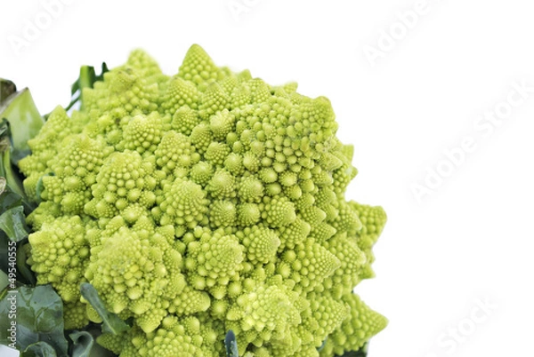 Fototapeta Romanesco broccoli, or Roman cauliflower