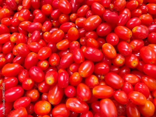 Fototapeta Tomatoes red background