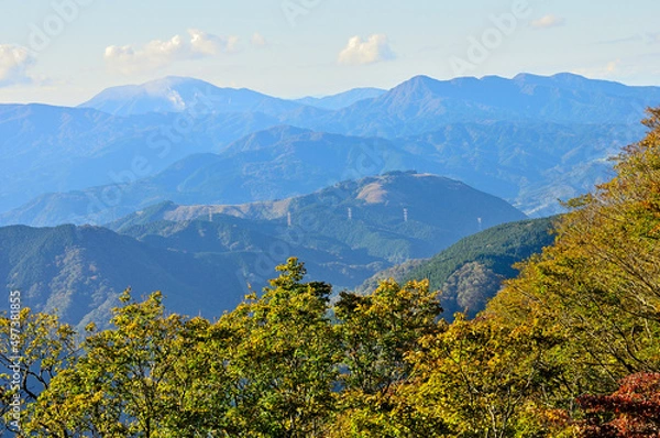 Fototapeta 丹沢の石棚山稜　紅葉の山地に箱根山
丹沢　ヤブ沢ノ頭より奥左から明神ヶ岳（明神岳）、駒ヶ岳、神山（箱根山）、金時山、長尾山、丸岳、中央奥が矢倉岳、手前が大野山
