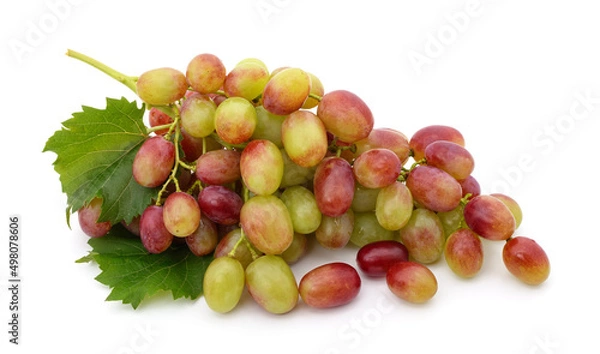 Fototapeta Green grapes with leaves.