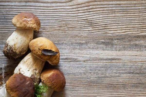 Fototapeta Fresh forest porcini mushrooms on a wooden old board, top view, copy space