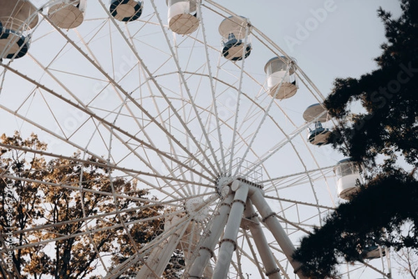 Obraz ferris wheel in the park