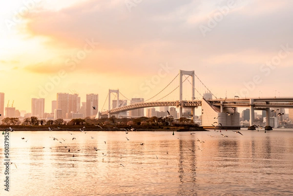 Fototapeta Rainbow Bridge, the most famous bridge in Odaiba and Tokyo area with a lot of migrating Black-headed gull or Yurikamome flying by.