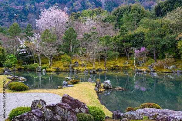 Fototapeta 京都嵐山 天龍寺 庭園