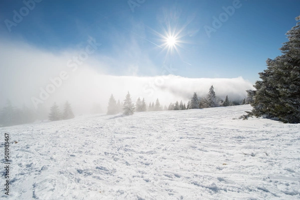 Fototapeta winter landscape at feldberg (1493m) in southern germany.