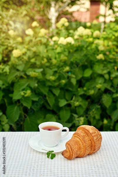 Fototapeta Two cup black tea with camomile and fresh croissants on the table against white background. Flat lay, spring breakfast conceptual composition