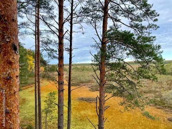 Fototapeta Autumn in Estonia