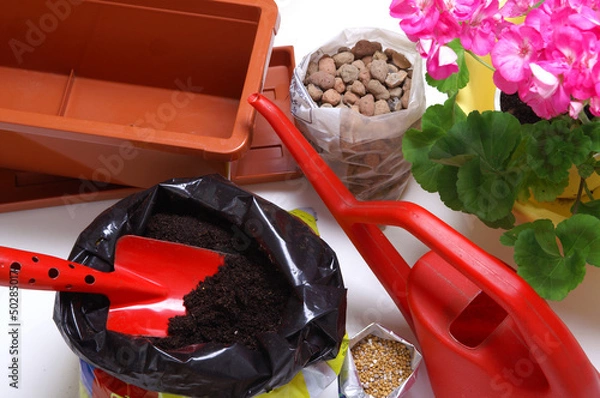 Fototapeta Planting - balcony plants