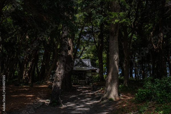 Fototapeta 御浜岬公園周辺にて