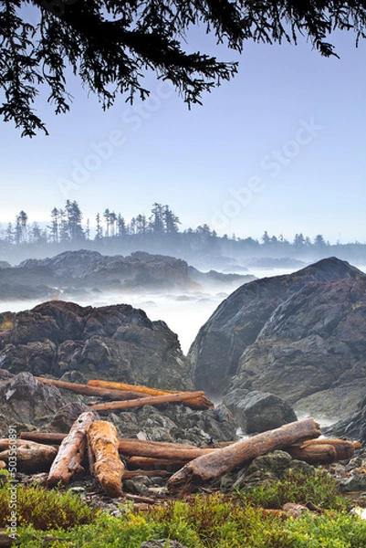 Fototapeta Driftwood logs on the Pacific Coast, Wild Pacific Trail, Vancouver Island, British Columbia, Canada