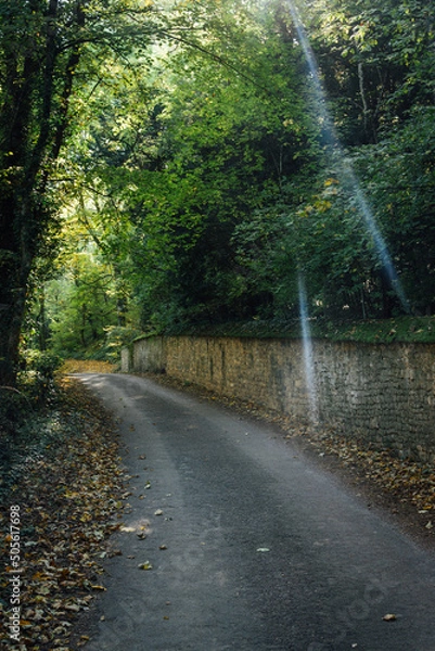 Fototapeta une route de campagne sous les arbres et longeant un grand mur de pierres.