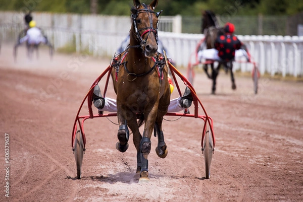 Fototapeta Le jockey et son cheval