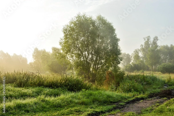 Fototapeta Rural road at the field at the early morning