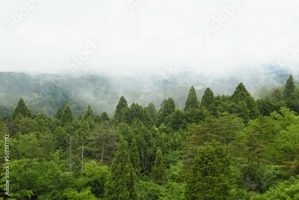 Fototapeta 雨の日の奈良県の山添村の風景