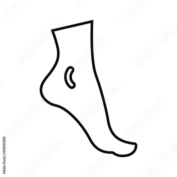 Fototapeta Ankle, foot outline icon. Line art vector.