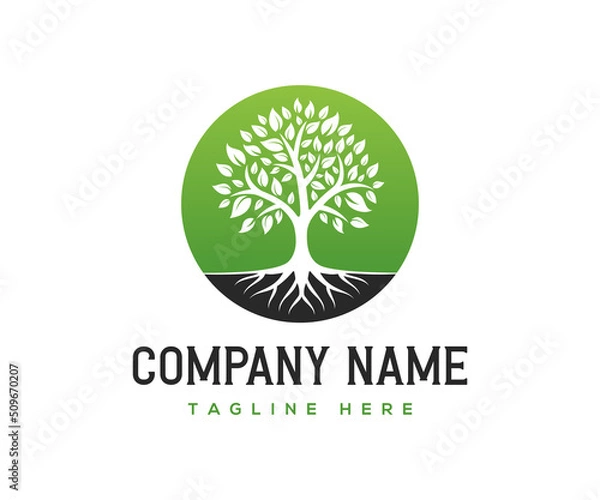 Fototapeta Root Of The Tree Logo Design Inspiration. Tree Logo.