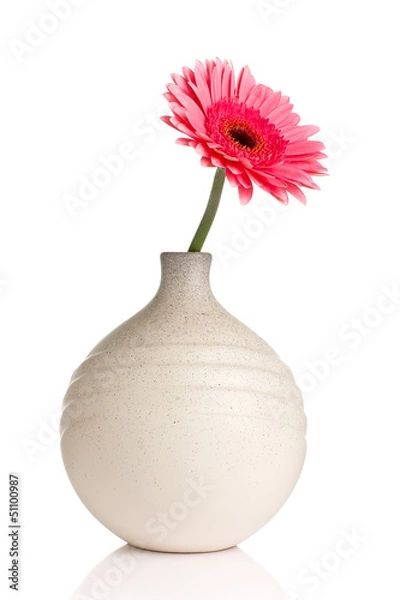 Fototapeta Gerbera.