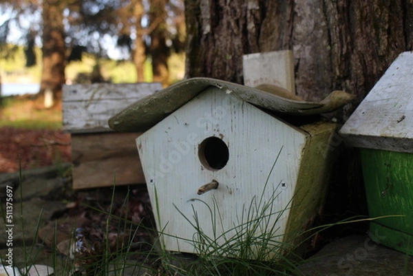 Fototapeta wooden bird house