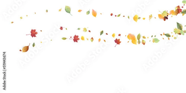 Fototapeta Leaves Falling Autumn Foliage Chaotic Leaf Flying