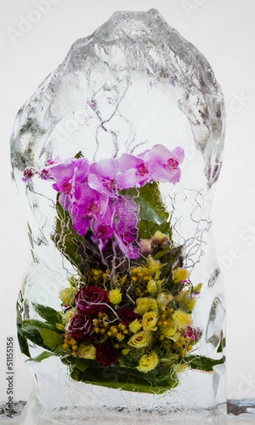 Fototapeta beautiful flowers with ice