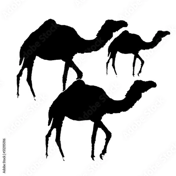 Fototapeta eid ul adha arabic camel black and white silhouette vector ilustration