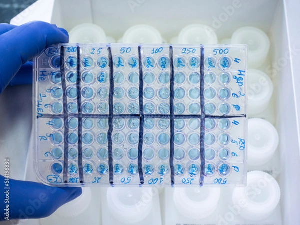 Fototapeta Immunological tablet with marks on the background of a set of reagents in a box, close-up