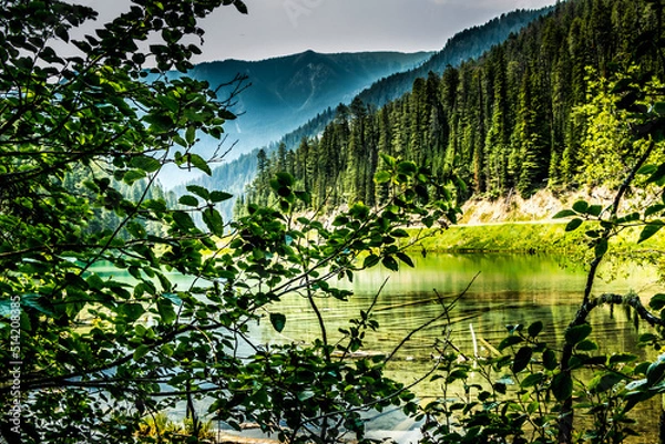 Fototapeta The green of Olive Lake Kootenay National Park British Columbia Canada