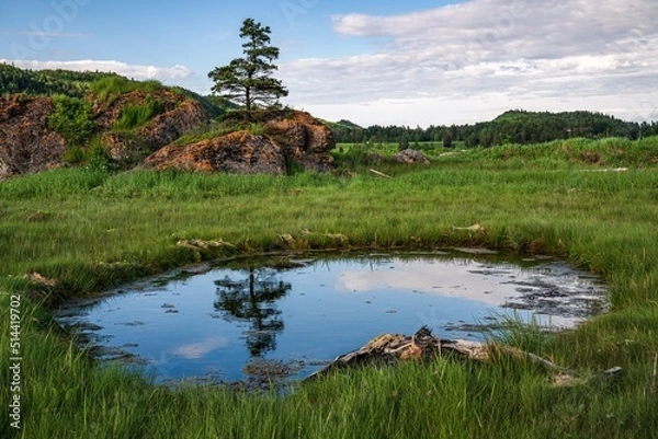 Fototapeta A pond at Rte du Quai in Rimouski, Quebec, Canada