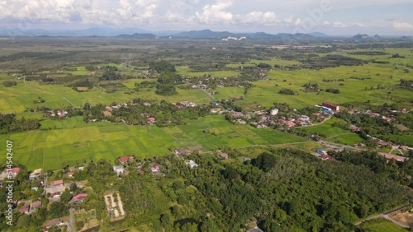 Fototapeta The Limestone Keteri Hill and The Surrounding Rice Paddy Fields