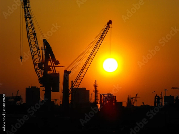 Fototapeta Hamburg Cranes in dusk