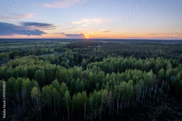 Fototapeta Aerial view on sunset above treetops