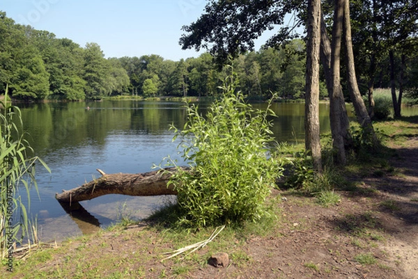 Fototapeta jungfernheidesee