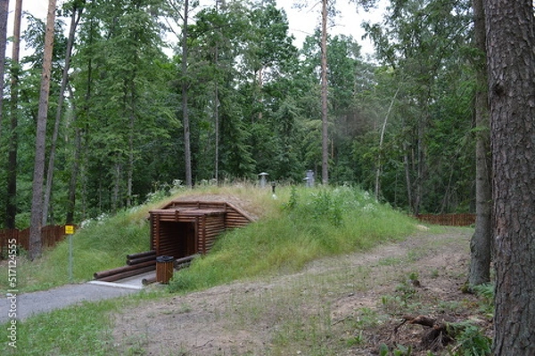 Fototapeta military dugout in the forest