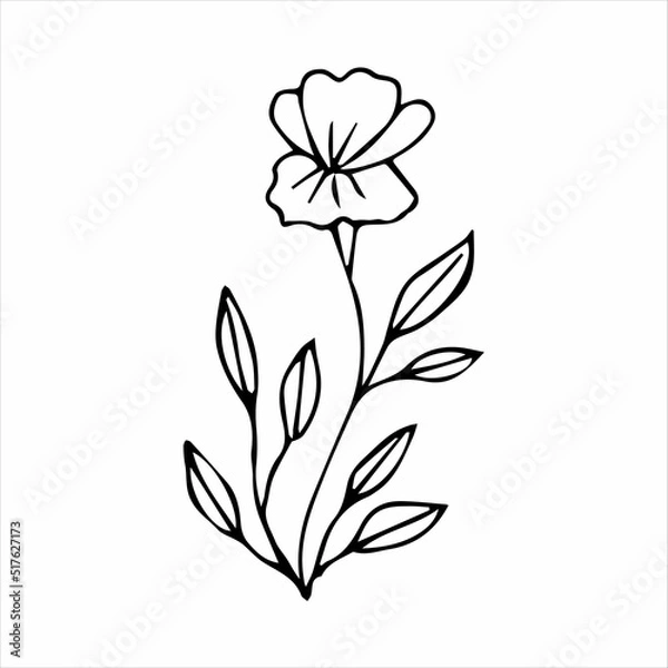 Obraz hand drawn doodle plant element for floral design concept