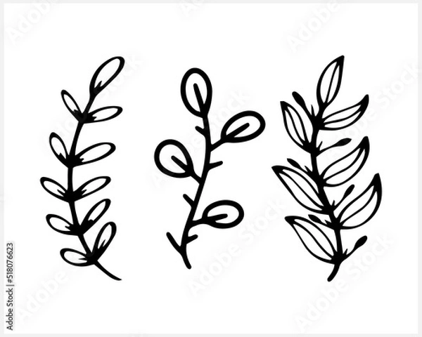 Obraz Branch with leaves icon isolated. Eco clip art. Vector stock illustration. EPS 10