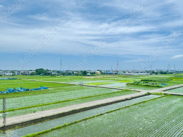 Obraz 晴れの日の田舎の田園風景