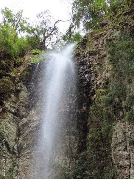 Fototapeta waterfall in the forest