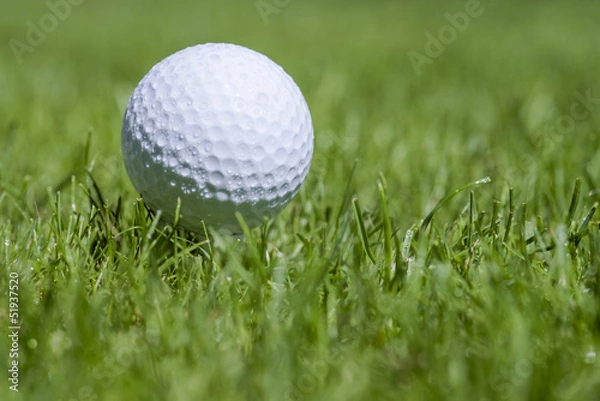 Fototapeta golfball on grass