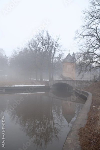 Fototapeta View of the foggy pond in the regular park.